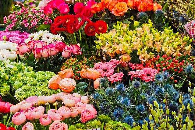 Fresh Cut Flowers