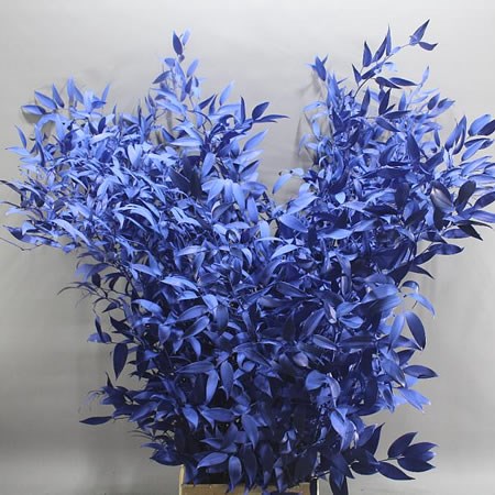 Dyed Ruscus thumbnail 2